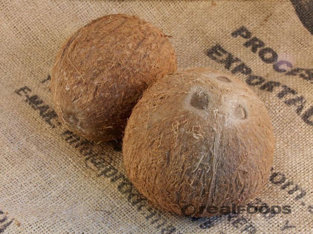 organic fresh coconut from Real Foods webshop